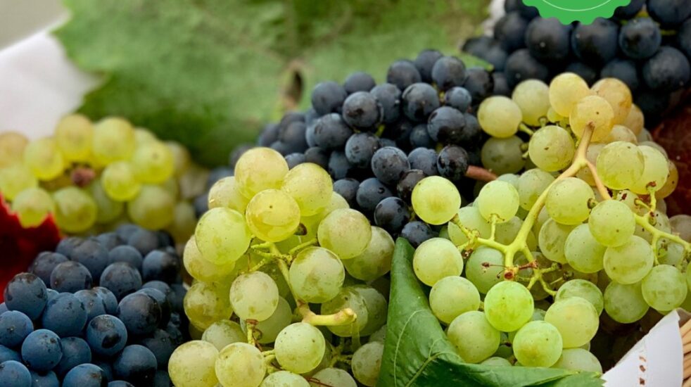 La polpa dell’uva è ricca di vitamine!
